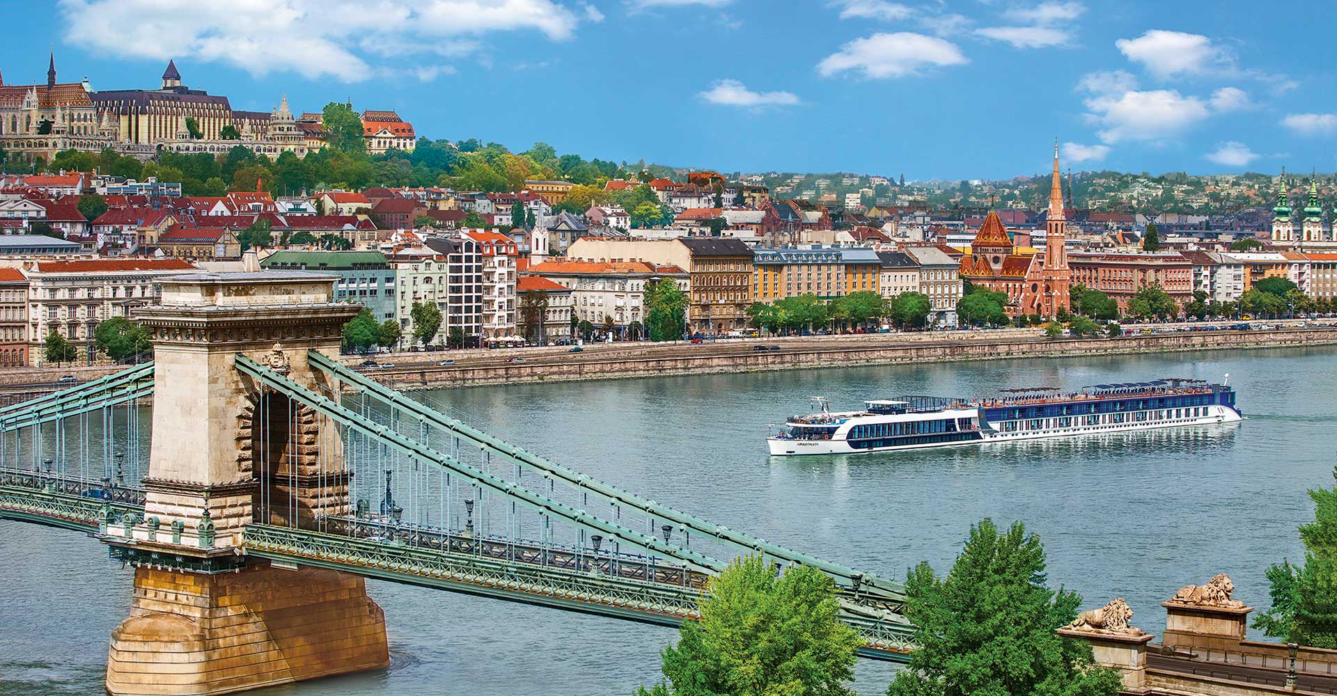 Rhine River wine cruise with vineyards and castles